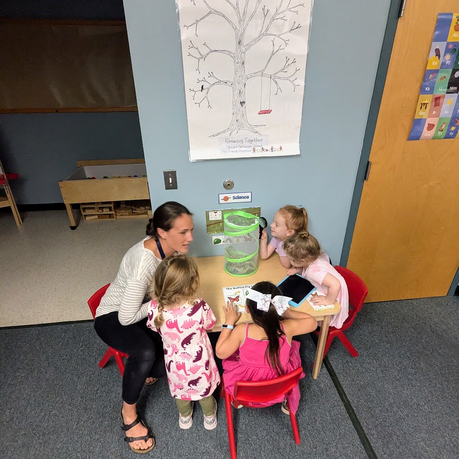 students looking at monarchs